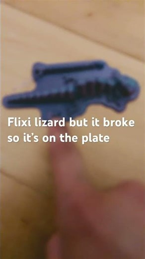 Flexible lizard￼