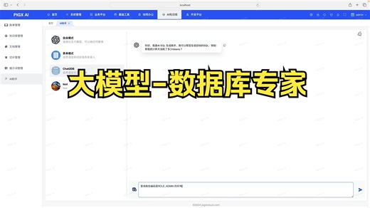 Java大模型应用开发-数据库专家