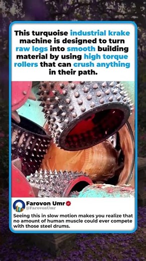 TURQUOISE MACHINE VS GIANT LOG