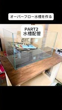 水槽配管と濾過そう作成 #アクアリウム #サンゴ水槽 #オーバーフロー水槽 #diy #カクレクマノミ #熱帯魚 #海水魚