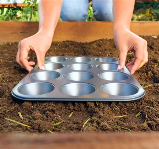 Garden Magic: Clever Hacks for Effortless Greenery Galore! | 5-Minute Crafts Green