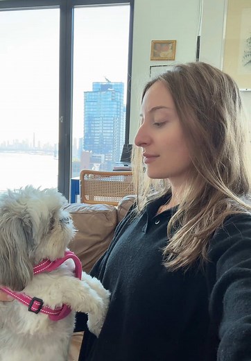 Understanding Shih Tzu Obsession: Behavior Insights