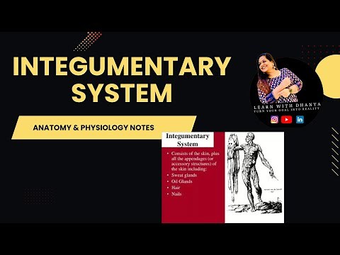 ANATOMY|INTEGUMENTARY|SYSTEM|MEDICAL|CODING|Exploring the Anatomy of the Integumentary System
