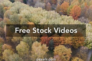 Paths Videos, Download The BEST Free 4k Stock Video Footage & Paths HD Video Clips