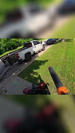 Lazy Mowing vs. Efficient Blower: Smart or Just Lazy?