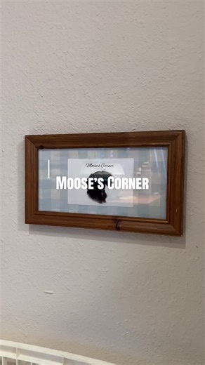 Moose’s Corner: Easy DIY Dog Decor Craft