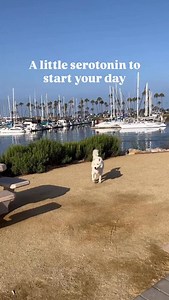 You don’t need to have it all figured out to start. Just begin with what you love — a walk, a stretch, a wag, a smile. That’s how I do it every day. Happiness isn’t in the future… it’s right here, in this breath, this sunshine, this moment. When you start from gratitude, life gets lighter. You remember how good it feels to simply be. So take a deep breath, wag your heart, and remember you can enjoy whatever is in front of you today. That’s where the magic begins. ✨🐾 Love 🐾 #YourHappyCoach, Fen