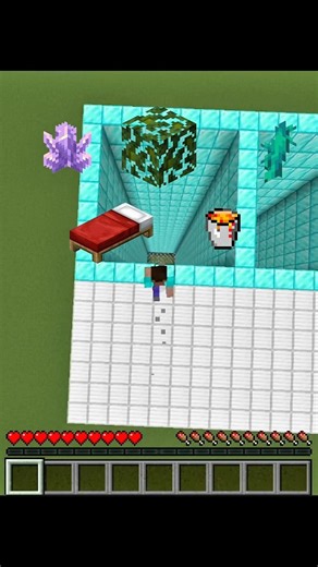 Will I survive the fall? #minecraft