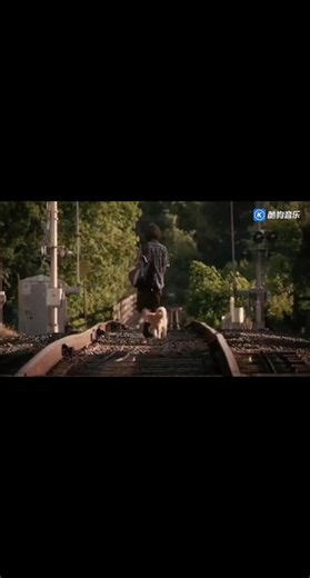 #催泪 #忠犬八公的故事 #不要忘记我爱你 #张碧晨 #致敬 一生忠诚的狗狗们