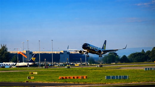 Airplane with custom livery performs quick landing