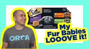 Watch Feeding time made easy! on Amazon Live