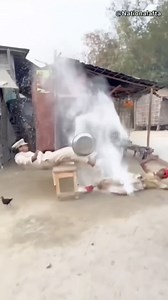 অসাধারণ ফানি ভিডিও #Funny Video # For You #For You Page #Training #Facebook # Bangladesh #Viral #Video 2026 # | Rayhan Khan