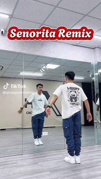 Senorita Remix Dance Choreography