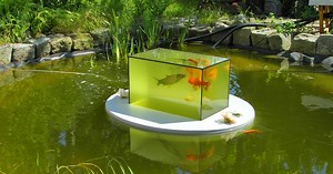 This Floating Fish Aquarium Lets You View Your Fish Above The Water Line