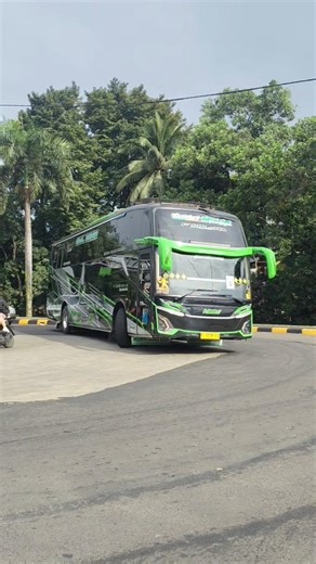 Bus MSM "Tuan Muda"