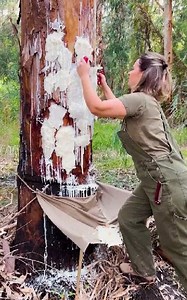 You can make these cool and unusual crafts from natural materials! | 5-Minute Workouts