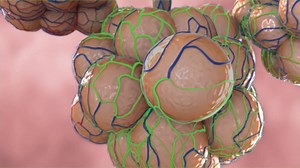 Mighty Medic Overview