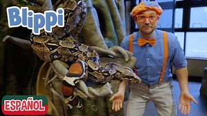 4.5M views · 53K reactions | Blippi Alimenta y Juega Con Animales en el Zoo | Canciones para niños | Canciones educativas ¡Vamos a aprender con Blippi mientras visita el zoo y ve muchos animales! | Neil Hunt | Facebook