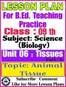 Class 9 Science Lesson Plan | Unit 6: Tissues | Topic: Animal Tissue | B.Ed. Lesson Plan #tissues