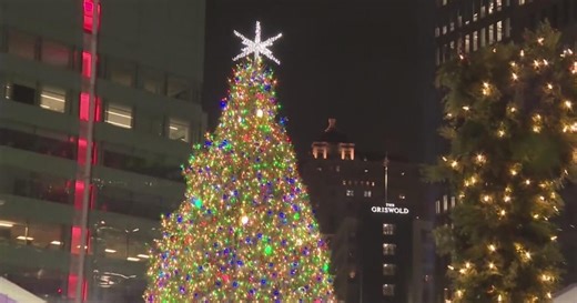 Thousands gather for annual Detroit Tree Lighting ceremony