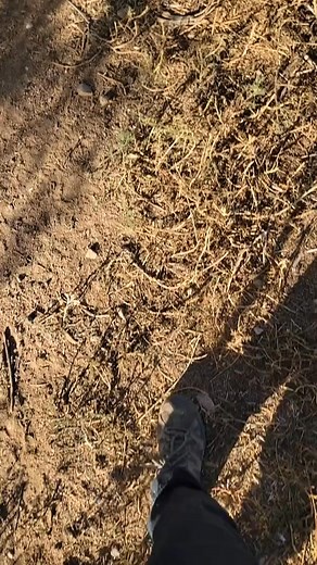 69K views · 3K reactions | Zion's saying goodbye to one of his favorite keepers We have a job opening! Find the job posting on AAZK's job board to see if you qualify to be an o | Brittney Olson | Facebook