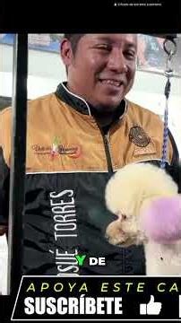 Mejores Máquinas para Peluquería Canina: ¡Empieza YA! #shorts