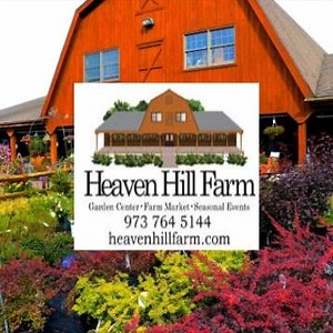 2K views · 68 reactions | Our Hay Ride to the Pumpkin Patch is a fun...