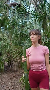 27K views · 462 reactions | Night Survival Hack: Primitive Bamboo Torch  #survival #outdoors #bamboo Made a torch with bamboo, rope, and cooking oil. Lit my path through the night  | Minsi Outdoors Beachcraft | Facebook