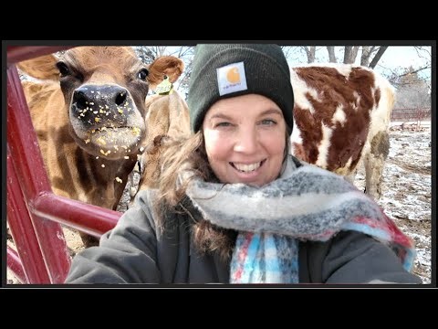 Exciting homestead updates 🥳