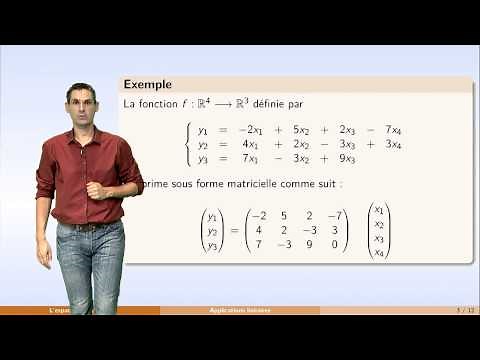 The vector space R^n - part 2: examples of linear transformations