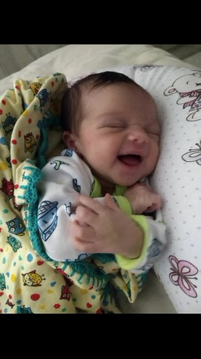 Os vídeos de Sandra Beccari Do Ja (@sandrabecc) com som original - helder e Evaneza