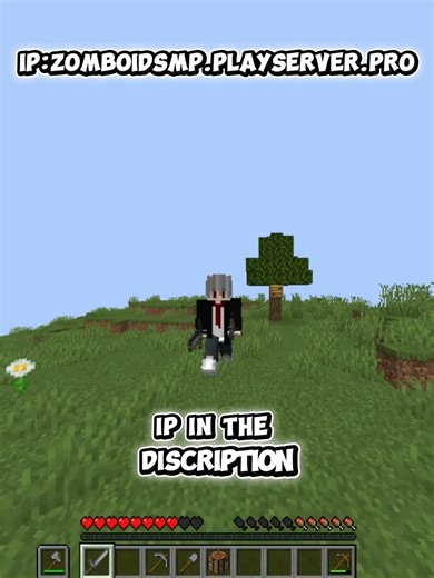 Minecraft Private Smp Ip (indian server) #minecraft #shorts