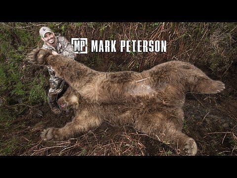 Giant 10 foot Alaska Brown Bear | Mark Peterson Hunting