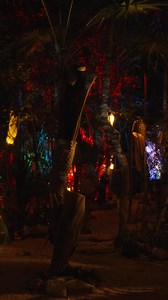 What an unforgettable night in Tulum! The energy, the vibes, the crowd, you made it truly magical. Thank you Zamna Festival for this incredible show. Until next time, Mexico! 🌴❤️ | David Guetta