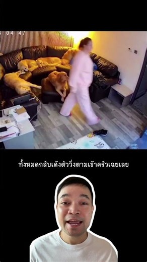 Golden Retriever and double standards: Whoever gives you food is a god.