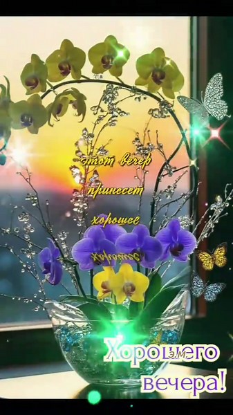 Эльхан Мамедов (@elkhan_mamedov_001)’s videos with original sound - SaigonAudio Music