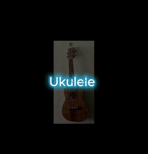 The Instruments I play - What Instruments do you guys play?
