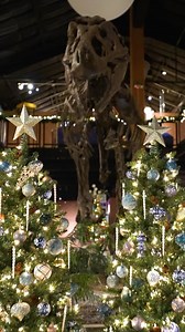 1.1K views · 36 reactions | Houston Museum of Natural Science on Reels | Facebook