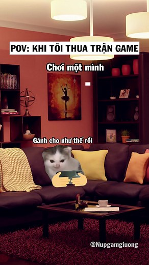 Ae mình cứ thế thôi hẹ hẹ hẹ (Cre: cat memes notchea) #cat #memes #nupgamgiuong #j4f | Núp Gầm Giường