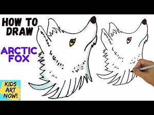 How to Draw an Arctic Fox! | Realistic Easy Step by Step Drawing