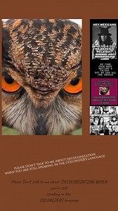 1K views · 54 reactions | Native Pride Movement on Reels | Facebook