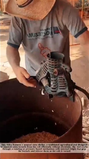 Simple Tool, Real Results: Manual Corn Sheller in Action! #shorts
