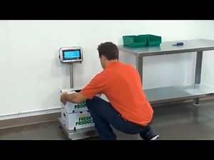 Washdown Platform Scales