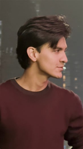 Exploring the Concept of 'Same Same but Different'