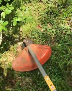 Little Farmhouse Life says the 128LD is the "best trimmer I've ever owned. Running 6 years strong today without a single issue." Learn more about this trimmer, with a detachable shaft for easy transport and storage, as well as a full line of attachments: https://bit.ly/2K2Vtwe | Husqvarna