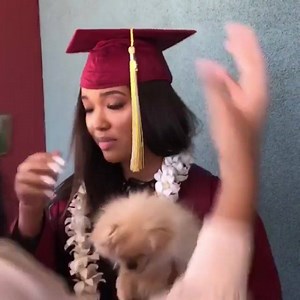 27K views · 1.2K reactions | Russell Simmons on Reels | Facebook