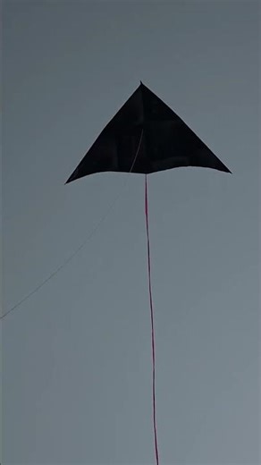 close view of delta wing kite #boxkite #kite #kiteflying