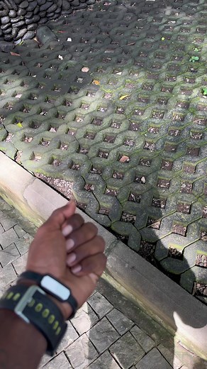 I fool him 😂🐒🙉 #funnymonkey #monkey #monkeys #monkeymemes #monkeylove #ape #animal #monkeyseemonkeydo #primate #monke #animals #chimpanzee #funnymonkeys #primates #cutemonkey #wildlife #funnyanimals #monyet #monkeyingaround #apes #gorilla #monky #babymonkey #funny #greatapes #monkeyface #instamonkey #funkymonkey #capuchinmonkey