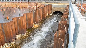 Yaphank fish passage that helps species swim up Carmans River replaces Colonial-era dam