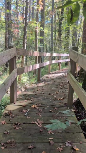 You'll find this trail near Snow Hill, Maryland at the Furnace Town Historic Site. Tucked away off the beaten path and surrounded by state forest and nature preserve lands, Furnacetown is a fascinating glimpse into the early 1800s and the thriving village that once was here in the middle of the forest. This 1-mile loop trail, known as the Paul Leifer Trail, is only accessible with admission to the historic site during regular operating hours, but it is SO worth a visit! Between the massive furna